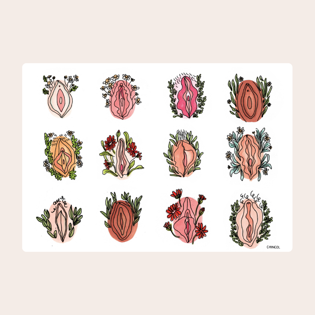 Poster "Vulvas Diversas" (con envío gratis)